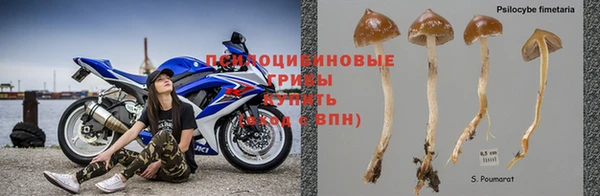 соль ск Россошь
