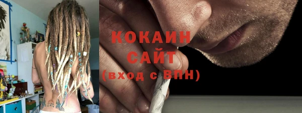 сатива Рославль