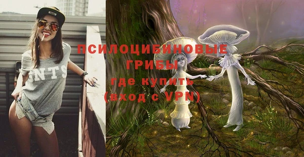 крисы Ростов