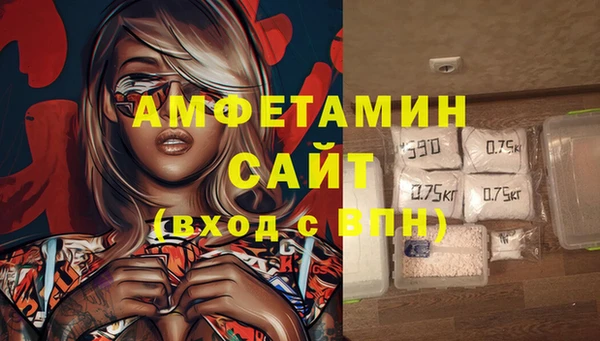 крисы Ростов