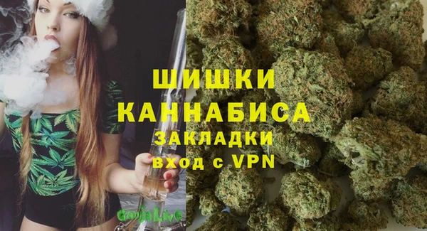 сатива Рославль