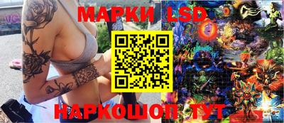 индика Гатчина