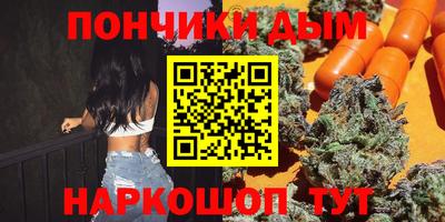 индика Гатчина