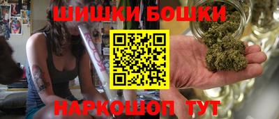 индика Гатчина