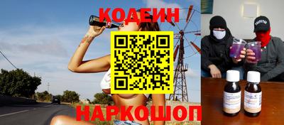 индика Гатчина