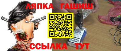 индика Гатчина
