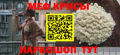 индика Гатчина