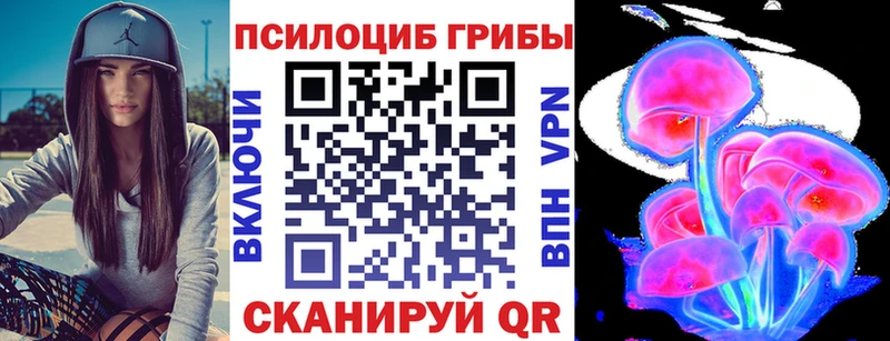 цены наркотик  Гагарин  Галлюциногенные грибы прущие грибы 