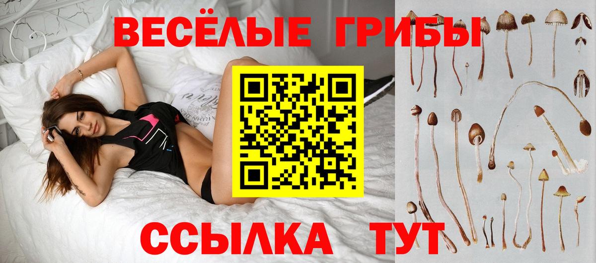 Галлюциногенные грибы Psilocybine cubensis  Вход с VPN  Псилоцибиновые грибы Psilocybe  Гагарин 